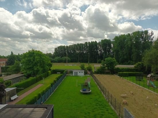 20220610_123522.jpg